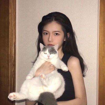 阴阳师百闻牌测试版下载